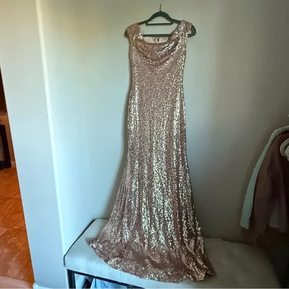 Theia Rose Gold Gemma Sleeveless Cut Sequin Embellishment Maxi Gown Size 4 - Picture 3 of 10